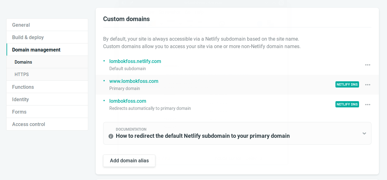 Konfigurasi DNS Netlify